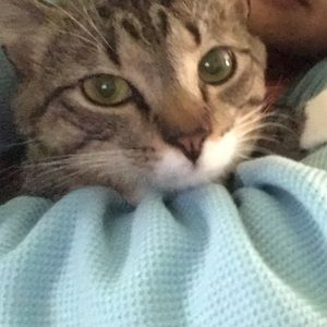 Meet your Posher, Michelle